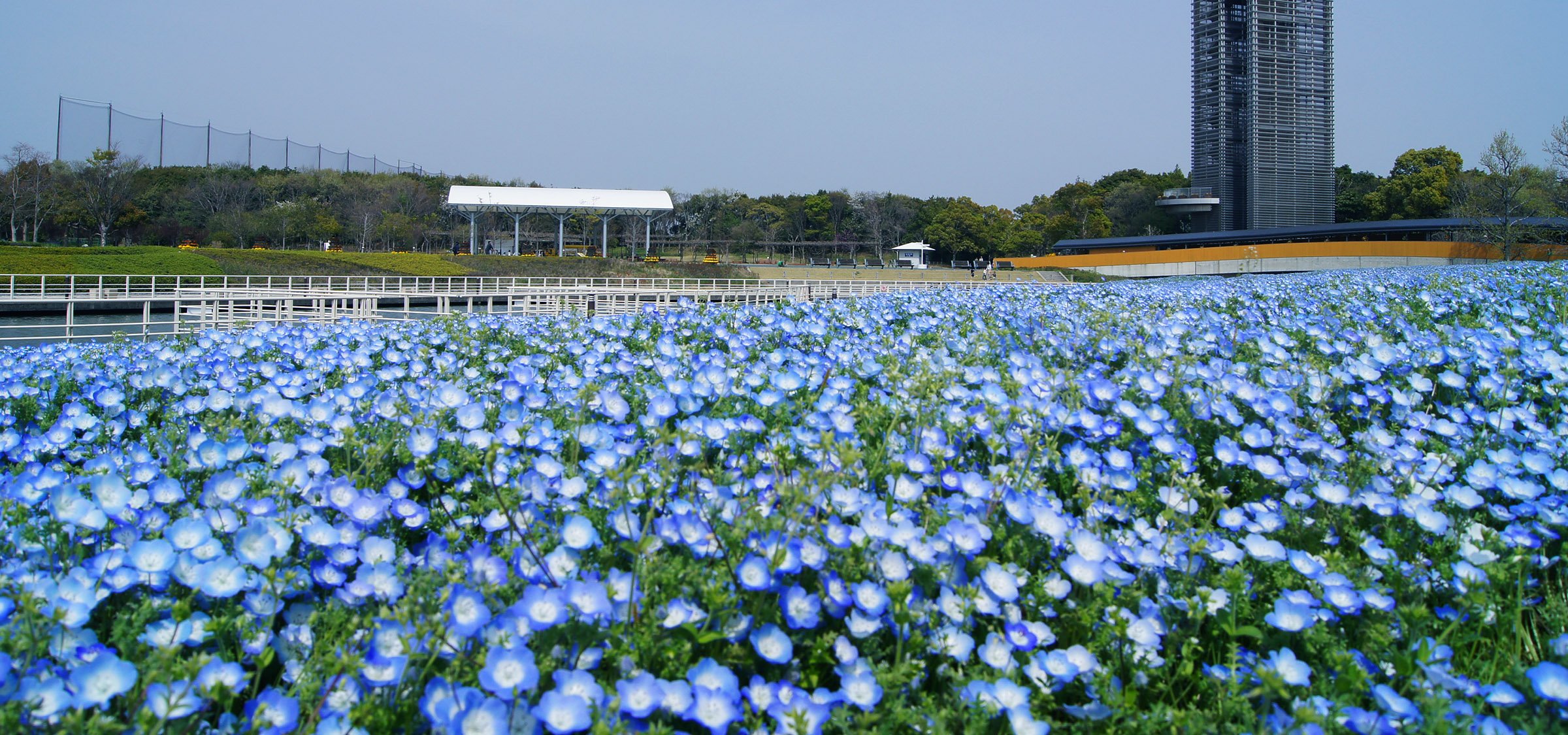 🌳 하마나코 가든 파크 (하마나코 가덴 파쿠) 이미지 7